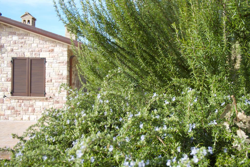 B&B Lavanda E Rosmarino Assisi Buitenkant foto
