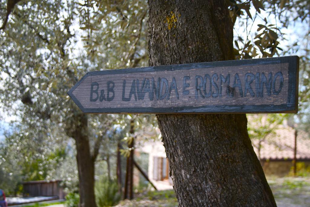B&B Lavanda E Rosmarino Assisi Buitenkant foto