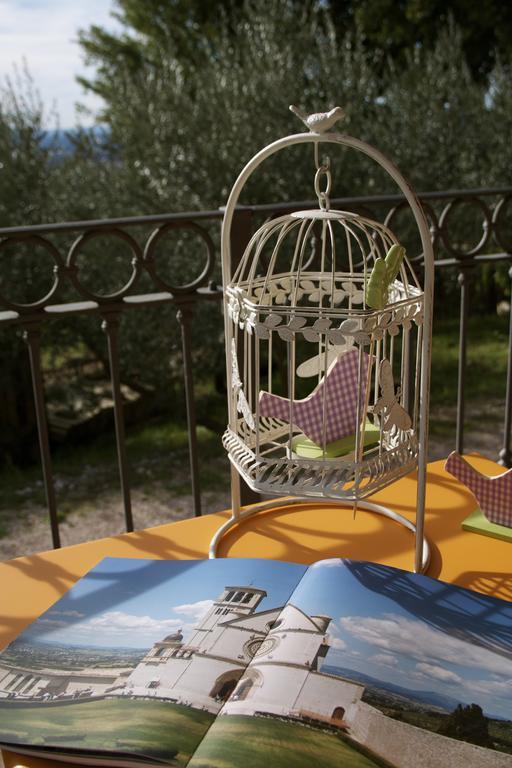 B&B Lavanda E Rosmarino Assisi Buitenkant foto