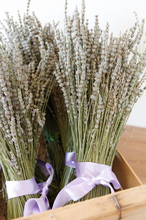 B&B Lavanda E Rosmarino Assisi Buitenkant foto
