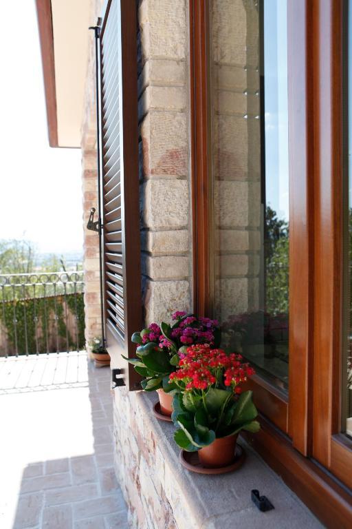 B&B Lavanda E Rosmarino Assisi Buitenkant foto