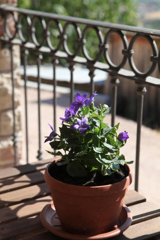 B&B Lavanda E Rosmarino Assisi Buitenkant foto