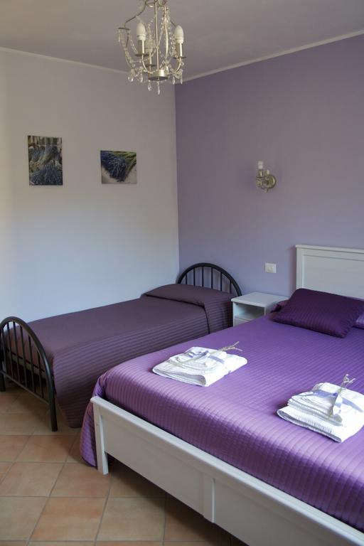 B&B Lavanda E Rosmarino Assisi Buitenkant foto