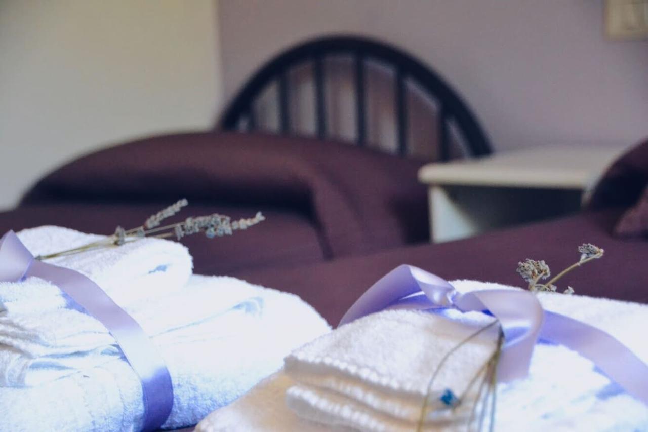 B&B Lavanda E Rosmarino Assisi Buitenkant foto