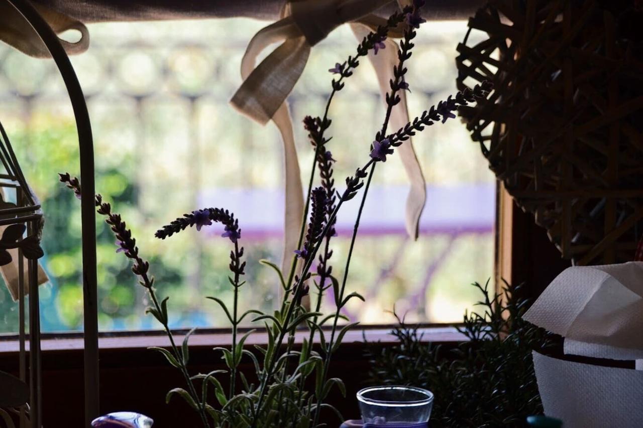 B&B Lavanda E Rosmarino Assisi Buitenkant foto